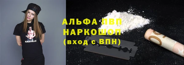прущие крисы Абаза