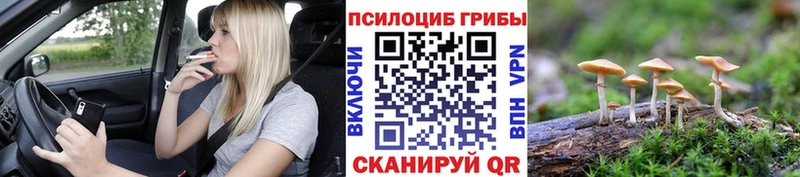 Псилоцибиновые грибы прущие грибы  OMG зеркало  Октябрьский  хочу  