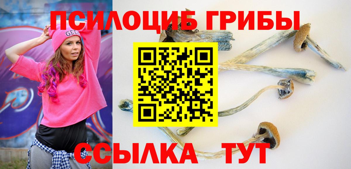 Галлюциногенные грибы Cubensis  Вход с VPN  хочу наркоту  Октябрьский 
